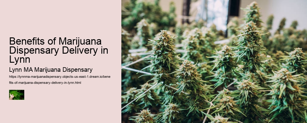 Benefits of Marijuana Dispensary Delivery in Lynn