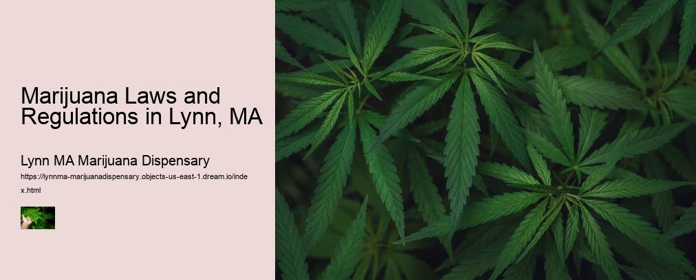 Marijuana Laws and Regulations in Lynn, MA  