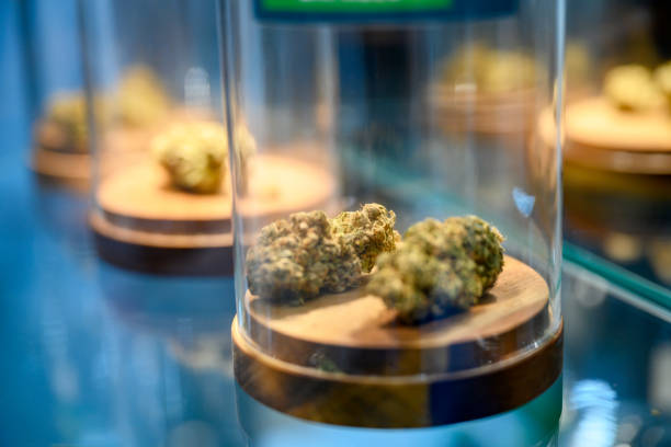 What is the average wait time for marijuana delivery in Lynn, MA?