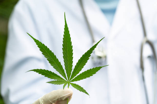 Ready for Easy Access to Marijuana Products? Try Delivery in Lynn Ma Today